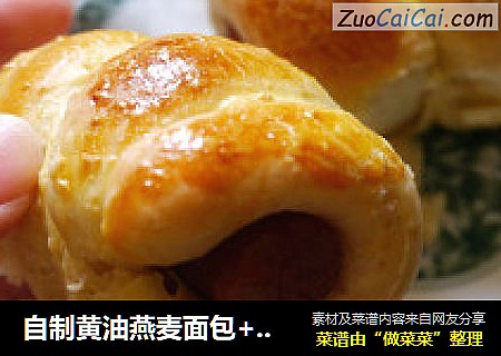 自制黄油燕麦面包+小热狗卷