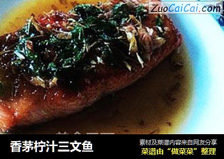 香茅檸汁三文魚封面圖