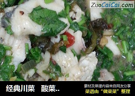 经典川菜   酸菜鱼（烧油健康版）