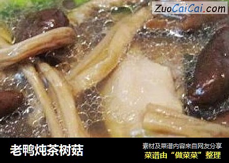 老鸭炖茶树菇