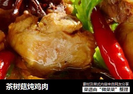 茶樹菇炖雞肉封面圖