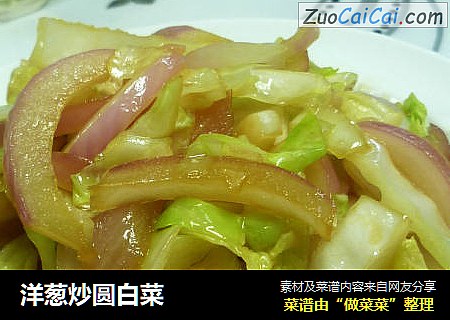 洋蔥炒圓白菜封面圖