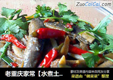 老重慶家常【水煮土泥鳅】——————吃出兒時的口味和感覺封面圖