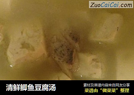 清鮮鲫魚豆腐湯封面圖