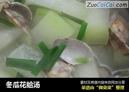 冬瓜花蛤湯封面圖