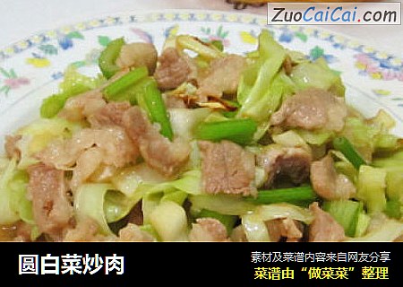 圓白菜炒肉封面圖