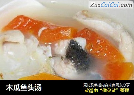 木瓜魚頭湯封面圖