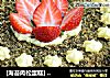 [海苔肉松蛋糕] --- 香甜沙拉裝飾蛋糕封面圖