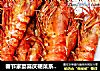 春节家宴喜庆硬菜系列三------[烤箱盐焗虾]的做法