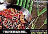 干锅手撕蕨菜米糠肠   特色湘食味的做法