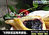 飞饼酥皮蓝莓果酱包by：普蓝高科蓝莓美食特约撰稿人的做法