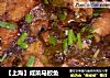 【上海】咸菜马鲛鱼的做法