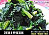 【東北】香醋菠菜封面圖