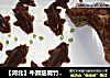 【河北】牛蹄筋腐竹凍封面圖