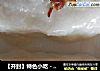 【開封】特色小吃－江米切糕封面圖