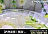 【養生湯煲】閩菜-鴛鴦冬瓜丸子湯封面圖