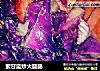 紫甘藍炒火腿腸封面圖