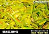 鮮黃花菜炒肉封面圖