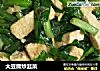 大豆腐炒韭菜的做法