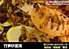 竹筍炒酸菜封面圖