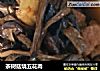 茶树菇烧五花肉的做法
