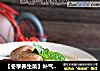 【冬季养生菜】补气血养颜——淮山红枣猪尾汤的做法