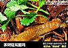 茶樹菇焖臘雞封面圖