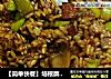 【簡單快餐】培根蘑菇炒飯封面圖