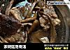 茶樹菇龍骨湯封面圖