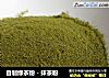 自制绿茶粉－抹茶粉的做法