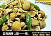 云南美味山珍——青头菌炒肉片的做法