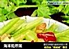 海米炝芹菜封面圖