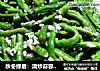 秋冬绿盾：清炒蒜蓉四季豆的做法
